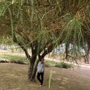 ���������� ���������, ���� ������� ����, 42 ����, ������������ ��� ������, ����� � ���������