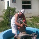 ,   Sevo, 33 ,   