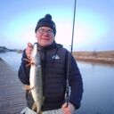 ���������� ������ ��������, ���� ������� ������, 43 ����, ������������ ��� c�������� ���������