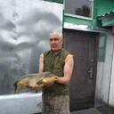  ,   , 54 ,   