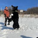  ,   , 40 ,   ,   , c 