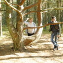 ���������� �����������, ���� ������� ���������, 42 ����, ������������ 