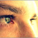 ���������� �������, ���� ������� �����, 36 ���, ������������ 