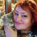 ���������� ��������, ���� ������� ����, 53 ����, ������������ ��� ����� � ���������, c�������� ���������