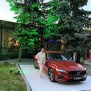 ���������� ������������, ���� ������� �����, 77 ���, ������������ ��� ������, ����� � ���������