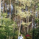  ,   , 41 ,  