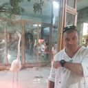 ���������� ������ �����, ���� ������� ˸��, 46 ���, ������������ ��� ����� � ���������, c�������� ���������