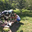 ���������� ������������, ���� ������� �����, 38 ���, ������������ ��� ������, ����� � ���������, c�������� ���������