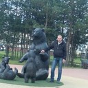 ���������� ������������, ���� ������� �������, 40 ���, ������������ ��� c�������� ���������