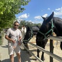 ���������� �������, ���� ����� ����, 23 ����, ������������ ��� ������, ����� � ���������