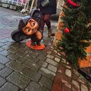 ���������� ������-��-����, ���� ������� �����, 42 ����, ������������ ��� ����� � ���������, c�������� ���������