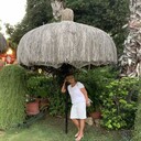  ,   , 63 ,   c 