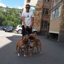 ���������� ���������, ���� ������� ������, 36 ���, ������������ ��� ������, ����� � ���������, c�������� ���������, ���������