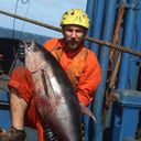 ���������� ��������, ���� ������� Lexx51rus, 38 ���, ������������ ��� ������, ����� � ���������, c�������� ���������