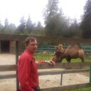 ���������� ��������, ���� ������� �������, 43 ����, ������������ ��� ������, ����� � ���������, c�������� ���������, ���������