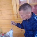  ,   , 43 ,   