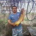 ���������� ������, ���� ������� ���������, 41 ���, ������������ ��� ������, ����� � ���������, c�������� ���������