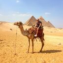 ���������� ���������, ���� ������� ������, 37 ���, ������������ ��� ������, ����� � ���������, ���������