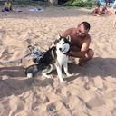 ���������� ���������, ���� ������� ����, 43 ����, ������������ ��� ������