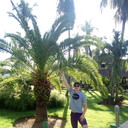 ���������� �����-���������, ���� ������� ������, 34 ����, ������������ ��� ������, ����� � ���������, c�������� ���������