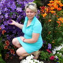 ���������� ����, ���� ������� �������, 50 ���, ������������ 