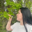 ���������� ������, ���� ������� �������, 31 ���, ������������ ��� ������