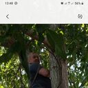  ,   , 52 ,   ,   