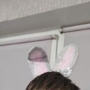 ���������� ����, ���� ������� ��������, 33 ����, ������������ ��� ����� � ���������, c�������� ���������, ���������