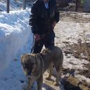 ���������� ��������, ���� ������� Red Devill, 34 ����, ������������ ��� ������, ����� � ���������, c�������� ���������