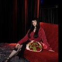 ���������� ������, ���� ������� ����, 48 ���, ������������ ��� ����� � ���������, c�������� ���������, ���������