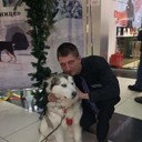 ���������� ��������, ���� ������� ������, 36 ���, ������������ ��� ������, ����� � ���������, c�������� ���������