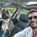 ���������� ������, ���� ������� ����, 36 ���, ������������ ��� ������, ����� � ���������