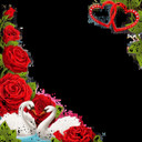 ���������� ������, ���� ������� ��������, 50 ���, ������������ ��� ������, ����� � ���������, c�������� ���������