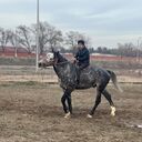 ���������� �������, ���� ������� ������, 26 ���, ������������ ��� ������, ����� � ���������