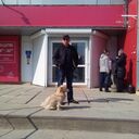 ���������� ���������, ���� ������� ������, 55 ���, ������������ ��� c�������� ���������