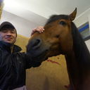  ,   Mustang, 44 ,   ,   , c 