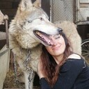  Bielany Wroclawskie,   , 40 ,   , 