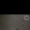 ���������� �����������, ���� ������� ������, 46 ���, ������������ ��� ����� � ���������, c�������� ���������