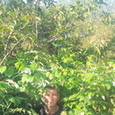 ���������� ����-���������, ���� ������� �����, 44 ����, ������������ ��� ������, ����� � ���������, c�������� ���������