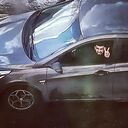 ���������� ������, ���� ������� Damir, 31 ���, ������������ ��� ������, ����� � ���������