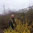  ,   Vitali, 63 ,     , c 