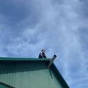 ���������� ��������, ���� ������� ���, 54 ����, ������������ ��� ������, ����� � ���������, c�������� ���������