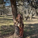 ���������� �������, ���� ������� ������, 35 ���, ������������ ��� ����� � ���������, c�������� ���������