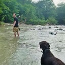 ���������� ����, ���� ������� ������, 26 ���, ������������ ��� ������, ����� � ���������, c�������� ���������, ���������