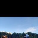 ���������� �����-���������, ���� ������� ����, 39 ���, ������������ ��� ����� � ���������, c�������� ���������