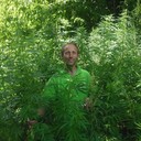 ���������� ����, ���� ������� �������, 41 ���, ������������ ��� ������, ����� � ���������, c�������� ���������