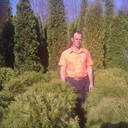  ,   Tudor, 42 ,   ,   , c 