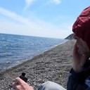 ���������� ����, ���� ������� �����, 55 ���, ������������ ��� ����� � ���������, c�������� ���������