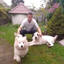 ���������� �����������, ���� ������� �����, 45 ���, ������������ ��� ������, ����� � ���������, c�������� ���������