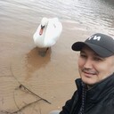  ,   Dima, 37 ,     , c 